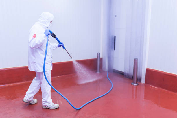 Best Concrete Sealing  in Three Oaks, FL