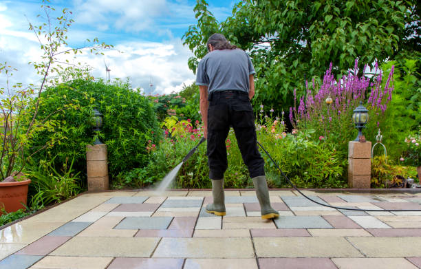 Best Driveway Pressure Washing  in Three Oaks, FL