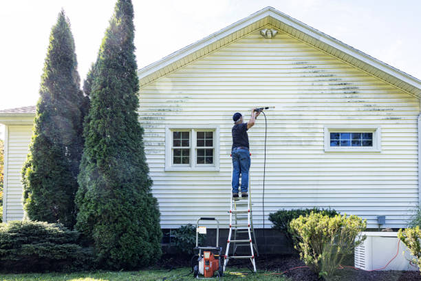 Professional Pressure Washing Services in Three Oaks, FL