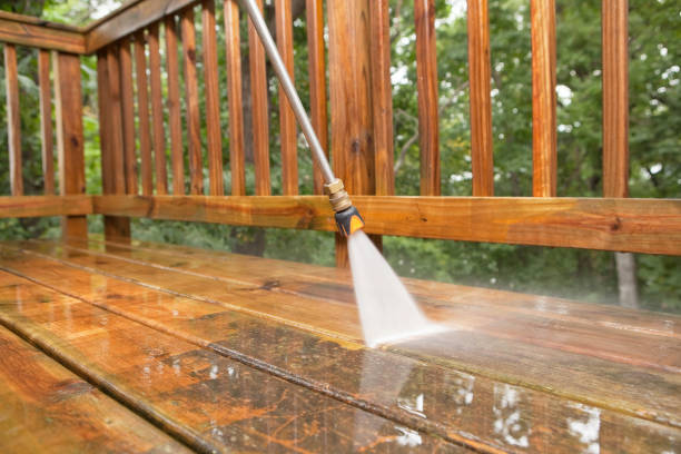 Best Roof Washing  in Three Oaks, FL